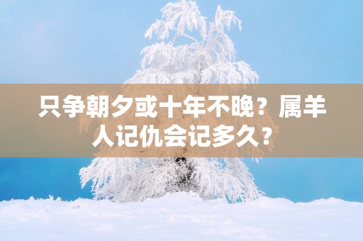 只争朝夕或十年不晚？属羊人记仇会记多久？