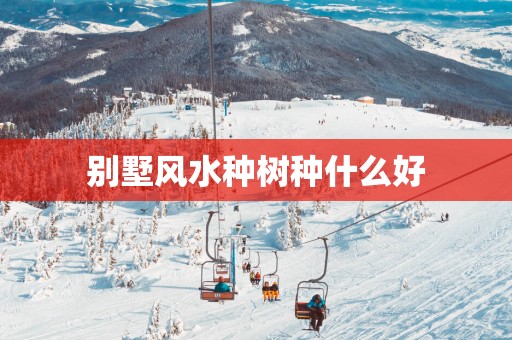 别墅风水种树种什么好