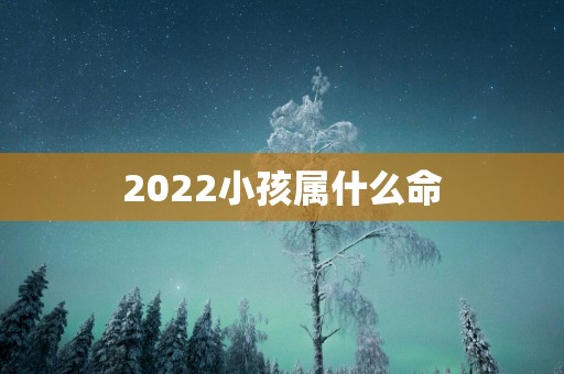 2025小孩属什么命
