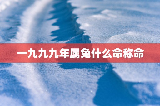 一九九九年属兔什么命称命