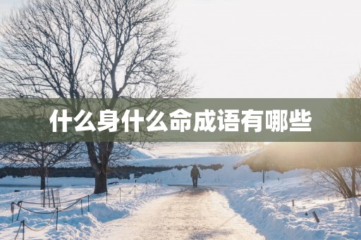 什么身什么命成语有哪些
