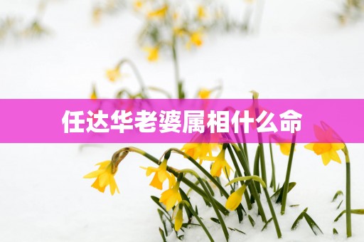 任达华老婆属相什么命