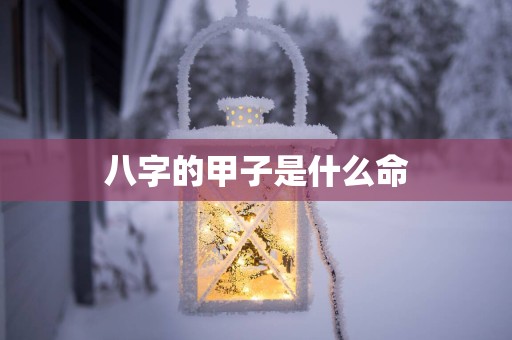 八字的甲子是什么命