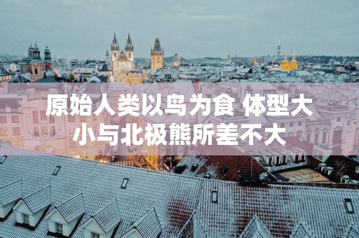 原始人类以鸟为食 体型大小与北极熊所差不大