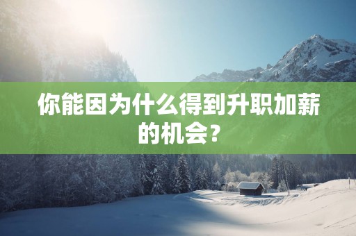 你能因为什么得到升职加薪的机会？