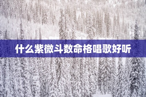 什么紫微斗数命格唱歌好听