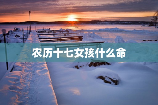 农历十七女孩什么命