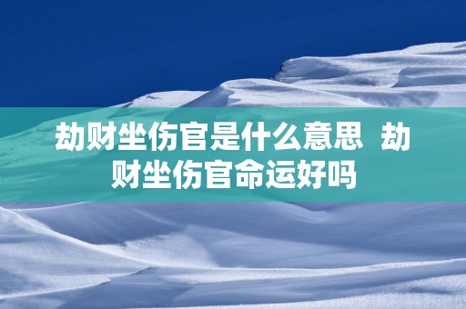 劫财坐伤官是什么意思  劫财坐伤官命运好吗