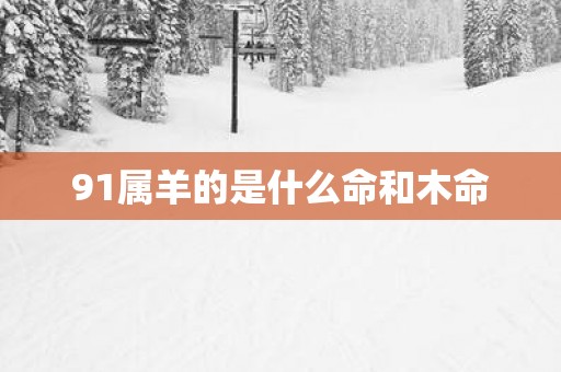 91属羊的是什么命和木命
