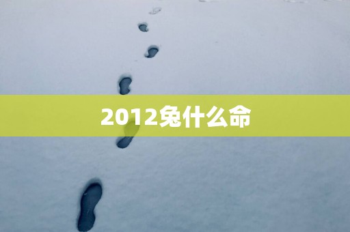 2012兔什么命