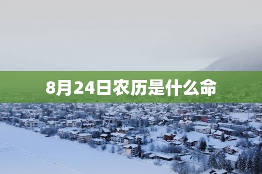 8月24日农历是什么命