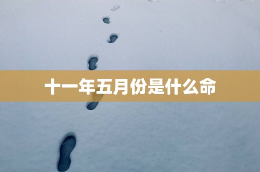 十一年五月份是什么命