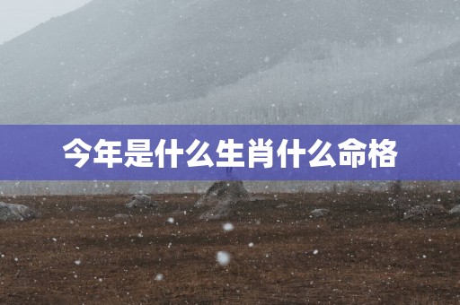 今年是什么生肖什么命格
