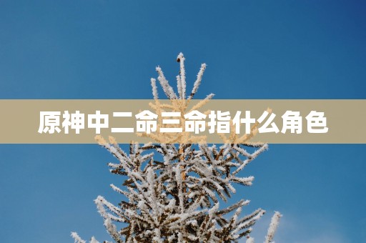 原神中二命三命指什么角色