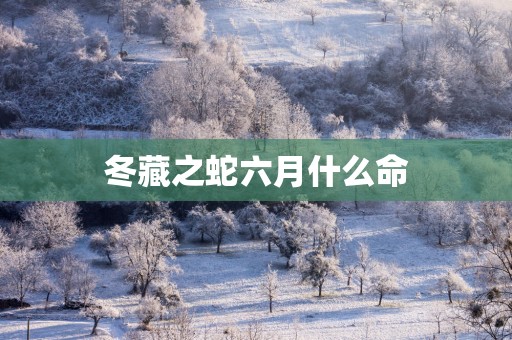 冬藏之蛇六月什么命