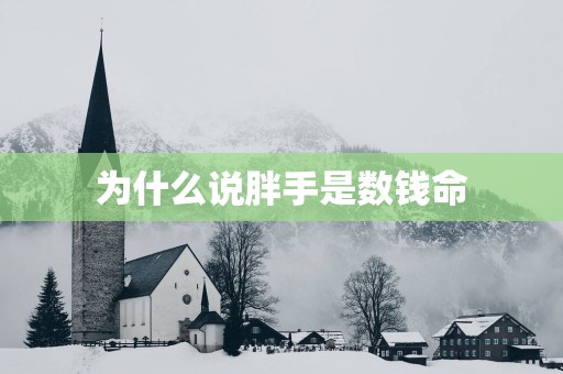 为什么说胖手是数钱命