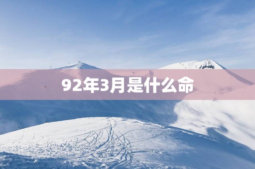 92年3月是什么命