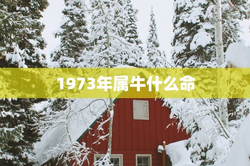 1973年属牛什么命