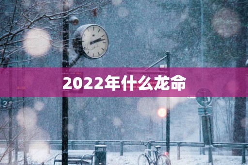 2025年什么龙命