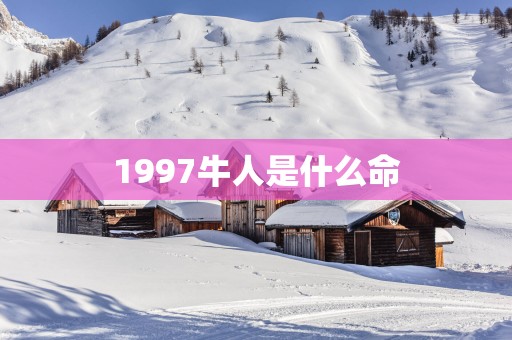 1997牛人是什么命