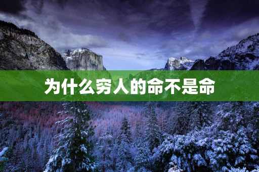 为什么穷人的命不是命