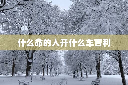 什么命的人开什么车吉利