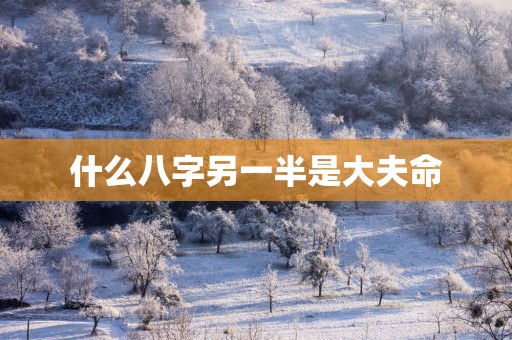 什么八字另一半是大夫命