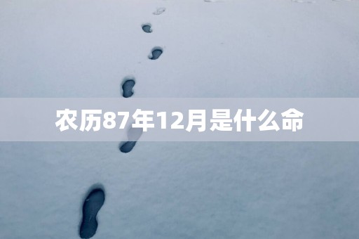 农历87年12月是什么命