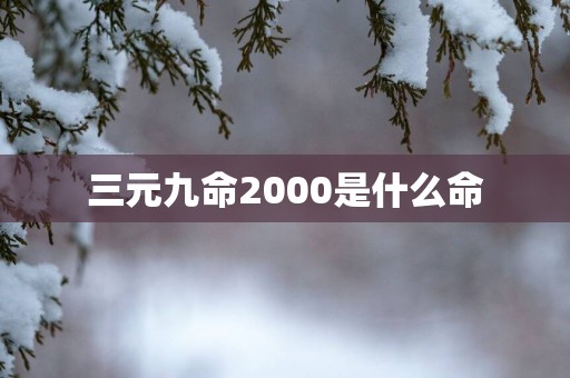 三元九命2000是什么命