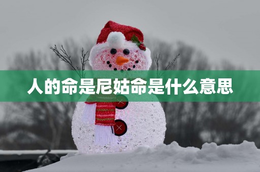 人的命是尼姑命是什么意思
