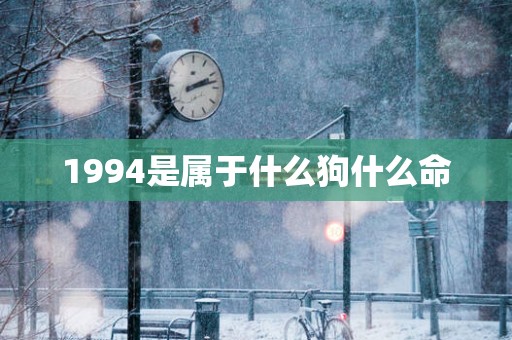 1994是属于什么狗什么命