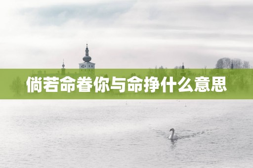 倘若命眷你与命挣什么意思