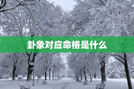 卦象对应命格是什么
