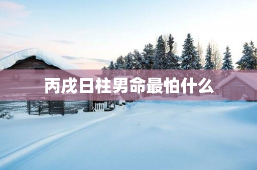 丙戌日柱男命最怕什么