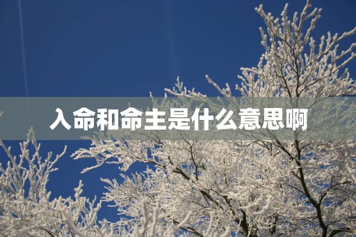 入命和命主是什么意思啊