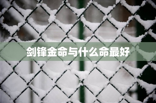 剑锋金命与什么命最好