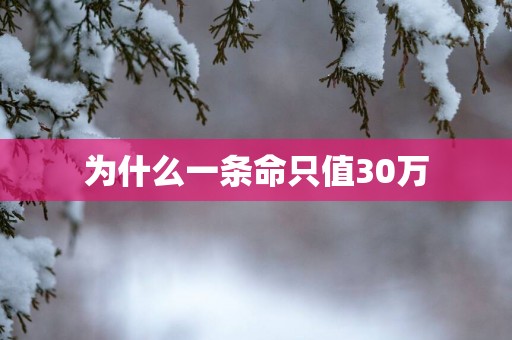 为什么一条命只值30万