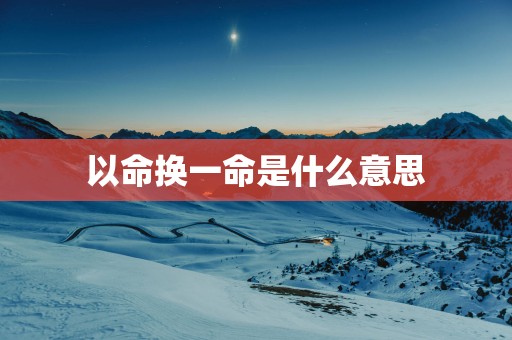 以命换一命是什么意思