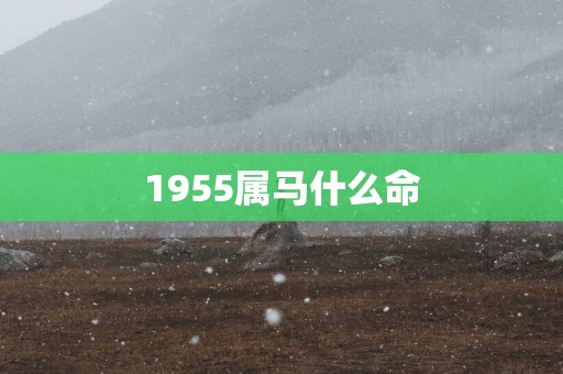 1955属马什么命
