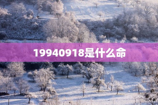 19940918是什么命