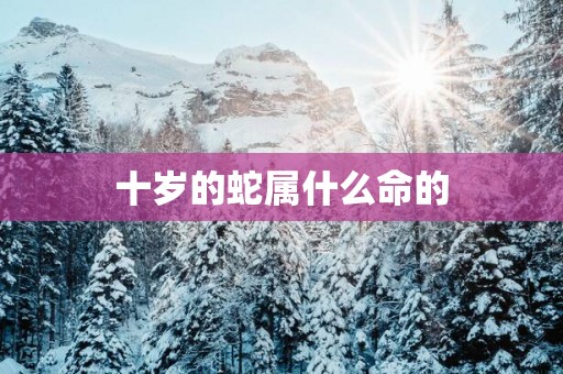十岁的蛇属什么命的