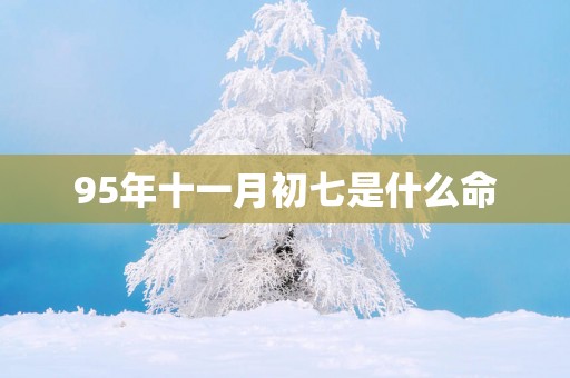 95年十一月初七是什么命