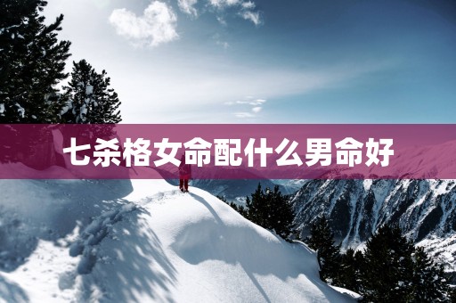 七杀格女命配什么男命好