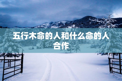五行木命的人和什么命的人合作