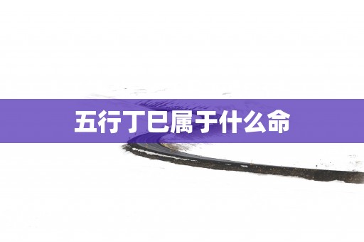 五行丁巳属于什么命