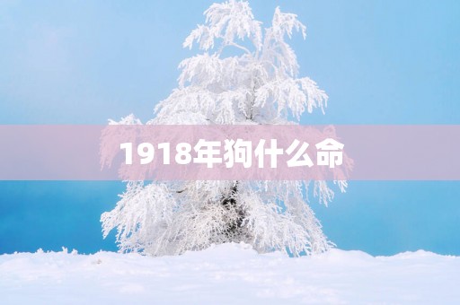 1918年狗什么命