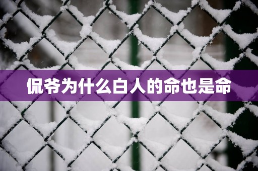 侃爷为什么白人的命也是命
