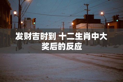 发财吉时到 十二生肖中大奖后的反应