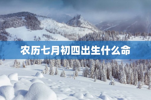 农历七月初四出生什么命