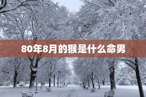 80年8月的猴是什么命男